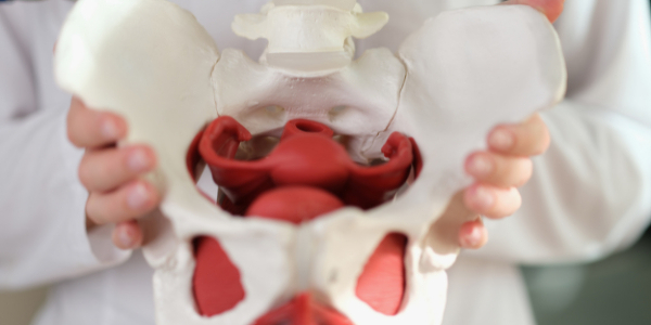 Seminář: Pánevní dno